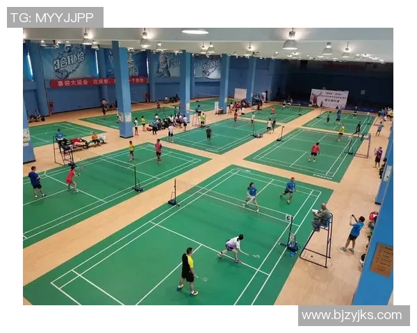 成都羽毛球队成员个人能力深度对比与分析探讨