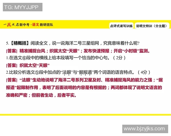 武汉极限运动队战术解析与训练策略探讨之路