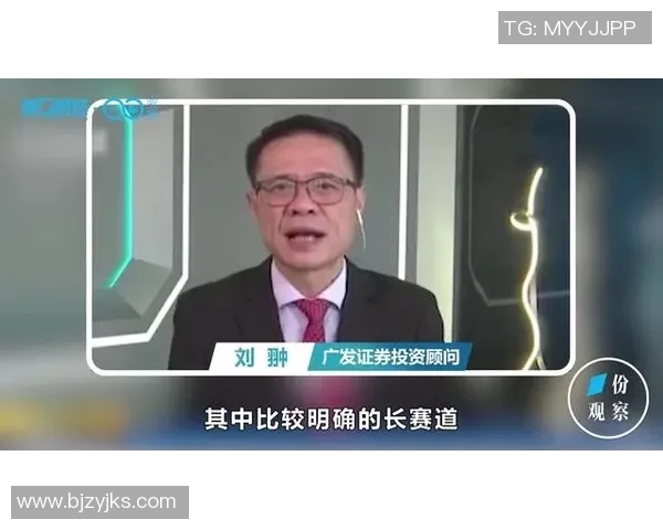 深度探讨杨伟在CSGO世界中的成长与挑战之路