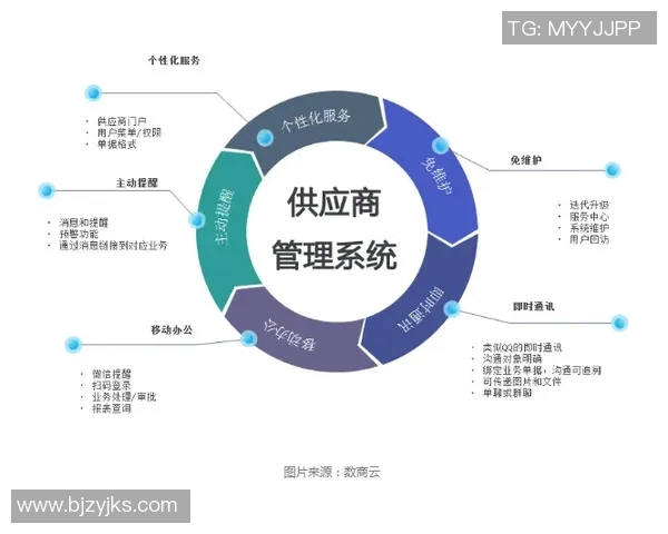 高效棒球训练营的设计与运营策略